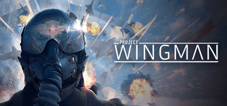 僚机计划/Project Wingman 动作游戏-第1张