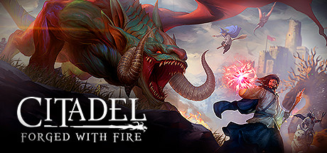 堡垒：火焰之炼/Citadel: Forged with Fire 角色扮演-第1张
