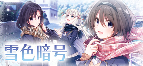 雪色暗号（V1.0.0-+DLC） 冒险游戏-第1张